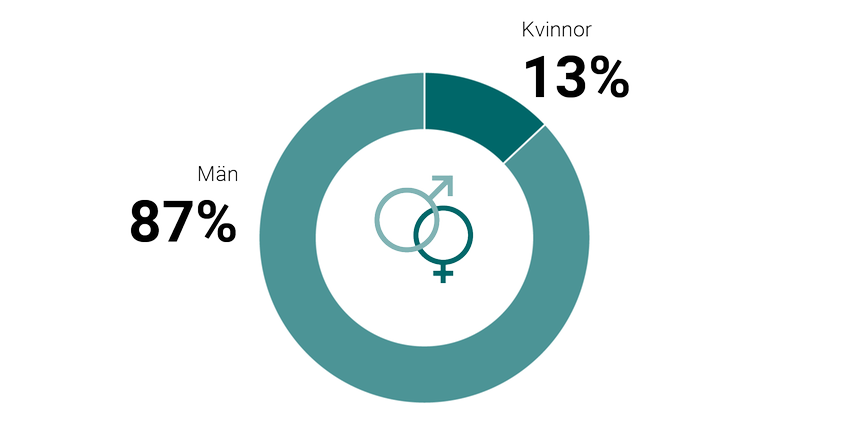 Cirkeldiagram som visar könsfördelning bland skadeståndsskyldiga 2023. Män: 87 %. Kvinnor: 13 %.