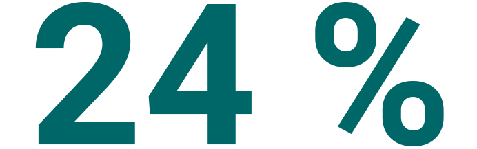 24 %